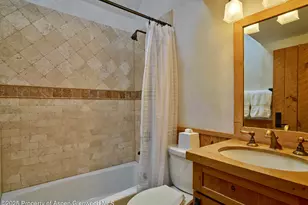 125 Rooney Cir, Aspen, CO 81611 - Photo 49