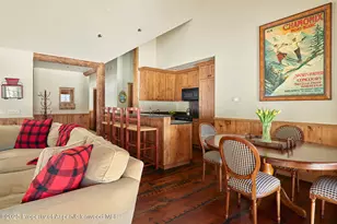 125 Rooney Cir, Aspen, CO 81611 - Photo 53