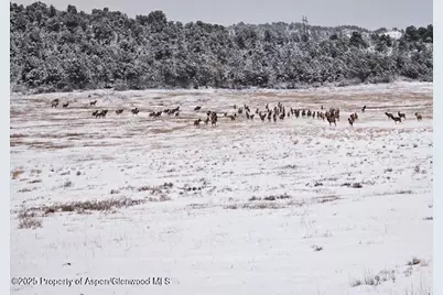 857 Indian Rock Road, Silt, CO 81652 - Photo 77