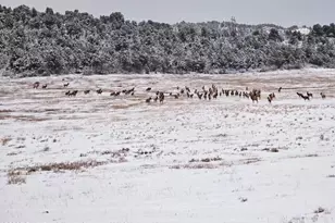 857 Indian Rock Rd, Silt, CO 81652 - Photo 77