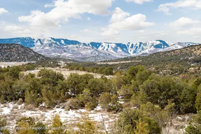 857 Indian Rock Road, Silt, CO 81652 - Photo 49