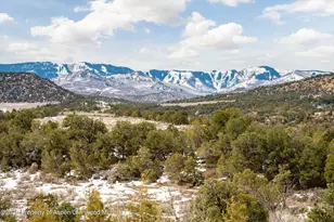 857 Indian Rock Rd, Silt, CO 81652 - Photo 49