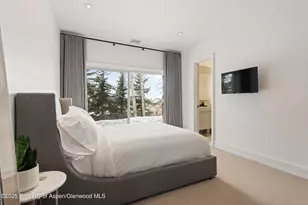 730 S Galena St, Aspen, CO 81611 - Photo 53