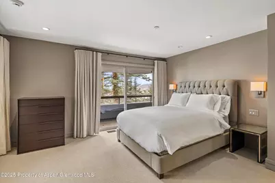 730 S Galena Street, Aspen, CO 81611 - Photo 61