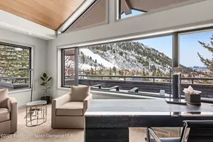 730 S Galena St, Aspen, CO 81611 - Photo 43