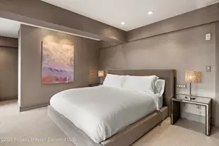 730 S Galena St, Aspen, CO 81611 - Photo 59