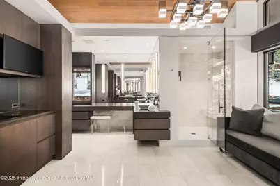 730 S Galena Street, Aspen, CO 81611 - Photo 45