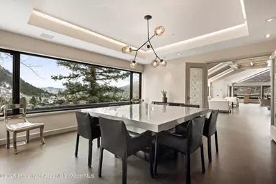 730 S Galena Street, Aspen, CO 81611 - Photo 13