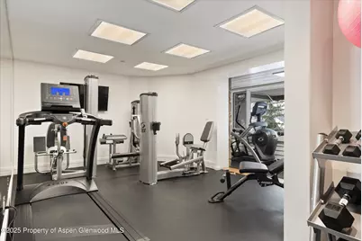 730 S Galena Street, Aspen, CO 81611 - Photo 39