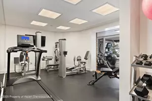 730 S Galena St, Aspen, CO 81611 - Photo 39