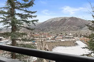 730 S Galena St, Aspen, CO 81611 - Photo 25