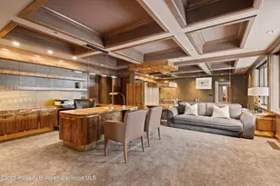 730 S Galena St, Aspen, CO 81611 - Photo 73