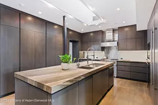 730 S Galena St, Aspen, CO 81611 - Photo 19