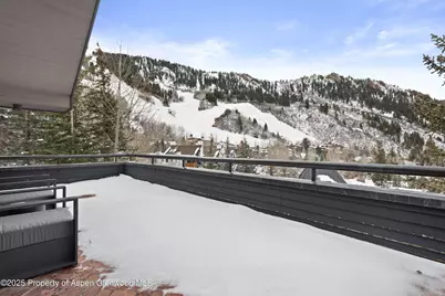 730 S Galena Street, Aspen, CO 81611 - Photo 23
