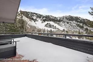 730 S Galena St, Aspen, CO 81611 - Photo 23
