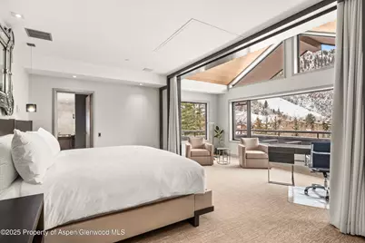 730 S Galena Street, Aspen, CO 81611 - Photo 41