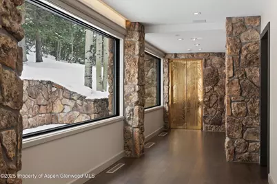 730 S Galena Street, Aspen, CO 81611 - Photo 69