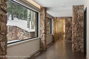 730 S Galena St, Aspen, CO 81611 - Photo 69