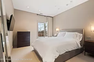 730 S Galena St, Aspen, CO 81611 - Photo 55