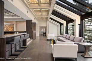 730 S Galena St, Aspen, CO 81611 - Photo 11