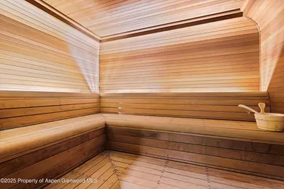 730 S Galena Street, Aspen, CO 81611 - Photo 35