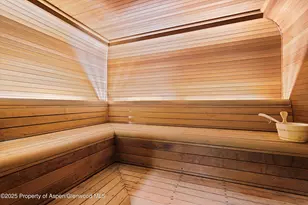 730 S Galena St, Aspen, CO 81611 - Photo 35