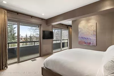 730 S Galena Street, Aspen, CO 81611 - Photo 77