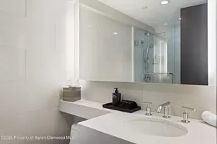 730 S Galena St, Aspen, CO 81611 - Photo 63