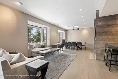 730 S Galena Street, Aspen, CO 81611 - Photo 31