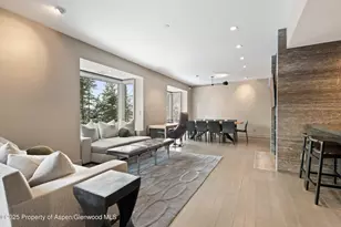 730 S Galena St, Aspen, CO 81611 - Photo 31