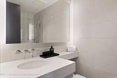 730 S Galena Street, Aspen, CO 81611 - Photo 71