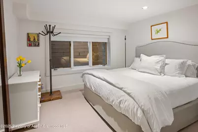 901 W Francis Street, Aspen, CO 81611 - Photo 23