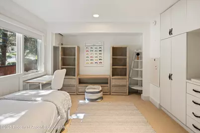 901 W Francis Street, Aspen, CO 81611 - Photo 17