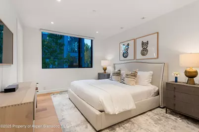 721 Cemetery Lane Lane, Aspen, CO 81611 - Photo 19