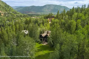 289 Exhibition Ln, Aspen, CO 81611 - Photo 41