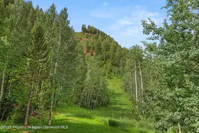 289 Exhibition Lane, Aspen, CO 81611 - Photo 43