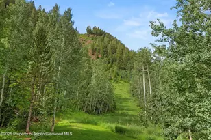 289 Exhibition Ln, Aspen, CO 81611 - Photo 43