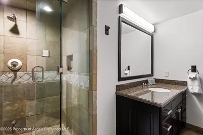 289 Exhibition Lane, Aspen, CO 81611 - Photo 23