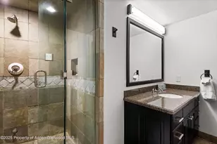 289 Exhibition Ln, Aspen, CO 81611 - Photo 23