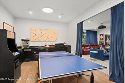 289 Exhibition Lane, Aspen, CO 81611 - Photo 21