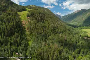 289 Exhibition Ln, Aspen, CO 81611 - Photo 39