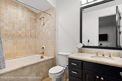 289 Exhibition Lane, Aspen, CO 81611 - Photo 25