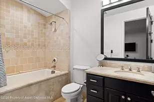 289 Exhibition Ln, Aspen, CO 81611 - Photo 25