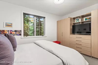 289 Exhibition Lane, Aspen, CO 81611 - Photo 23
