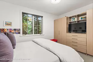 289 Exhibition Ln, Aspen, CO 81611 - Photo 23