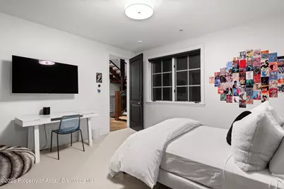 289 Exhibition Lane, Aspen, CO 81611 - Photo 25