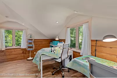 389 Elk Mountain Drive, Redstone, CO 81623 - Photo 45