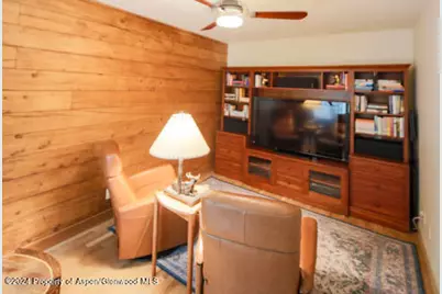 389 Elk Mountain Drive, Redstone, CO 81623 - Photo 43