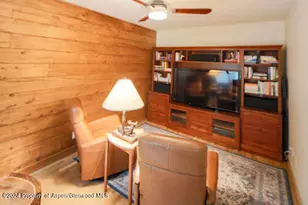 389 Elk Mountain Dr, Redstone, CO 81623 - Photo 43