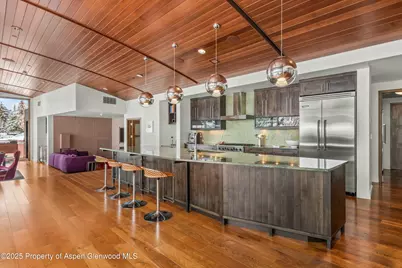 233 E Cooper Avenue #301, Aspen, CO 81611 - Photo 5